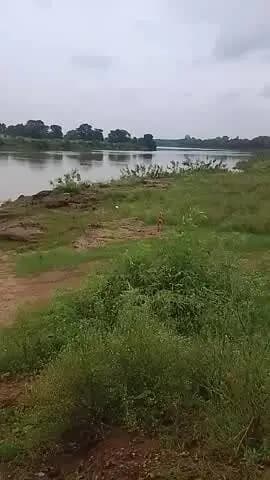 हमारे ठिकुरी गांव शेर के मामा जी दिखे