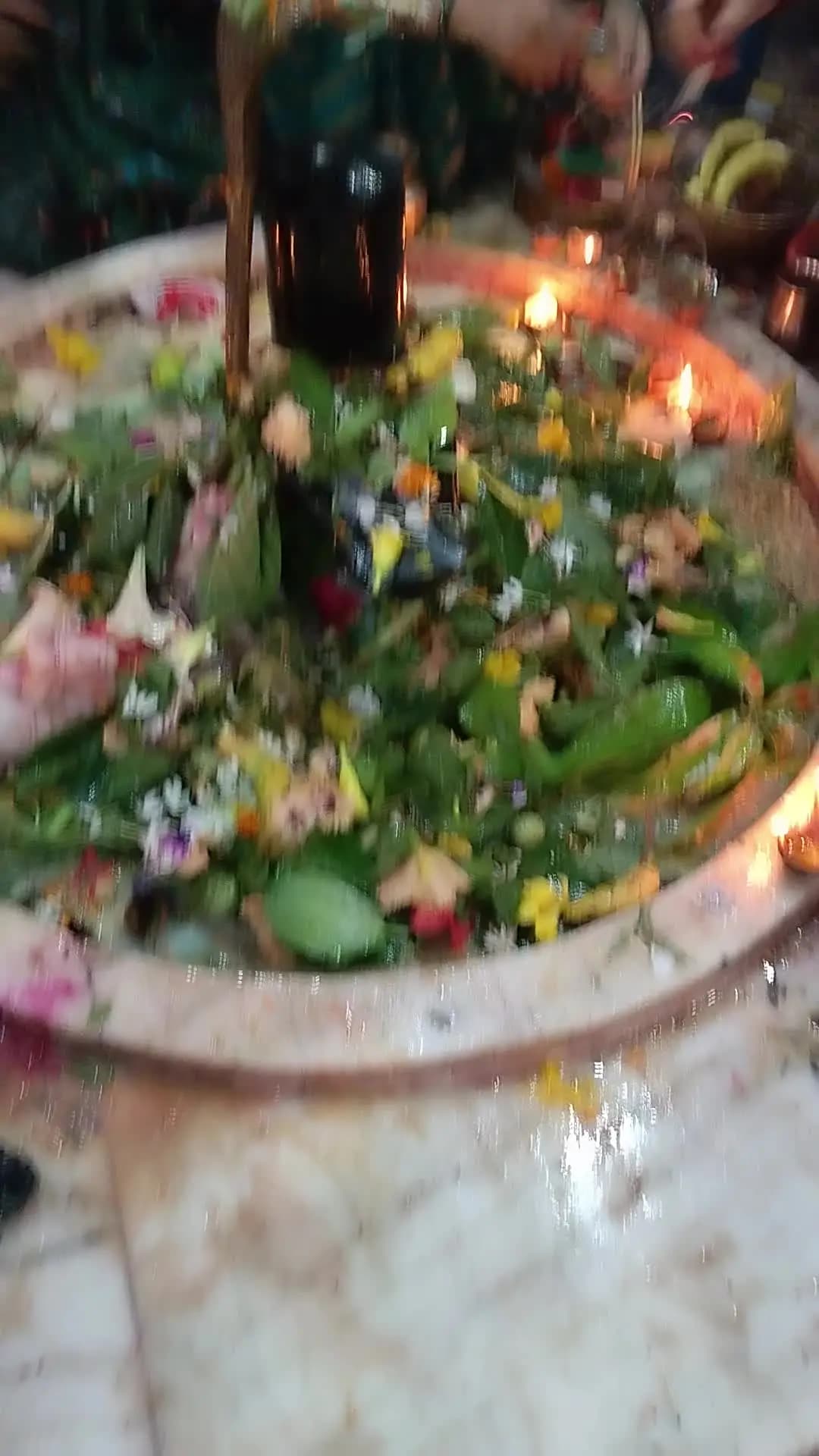 सावन के अंतिम सोमवारी पर शिवालयों में उमड़ा शिव भक्तों का सैलाब जय शिव के जयकारा से चारों ओर शिव मय वातावरण