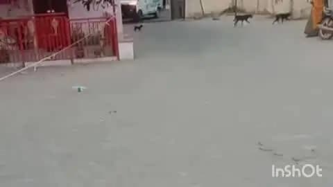 सिरोही: सिंदरथ के पास दो बाइकों की आमने-सामने भिड़ंत, चार लोग घायल, दो की हालत गंभीर, एक को उदयपुर रेफर किया गया