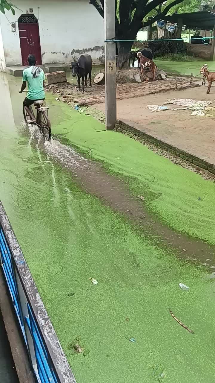 राजापुर नगला मौजा कबीरपुर बरसात पानीभर गया है
