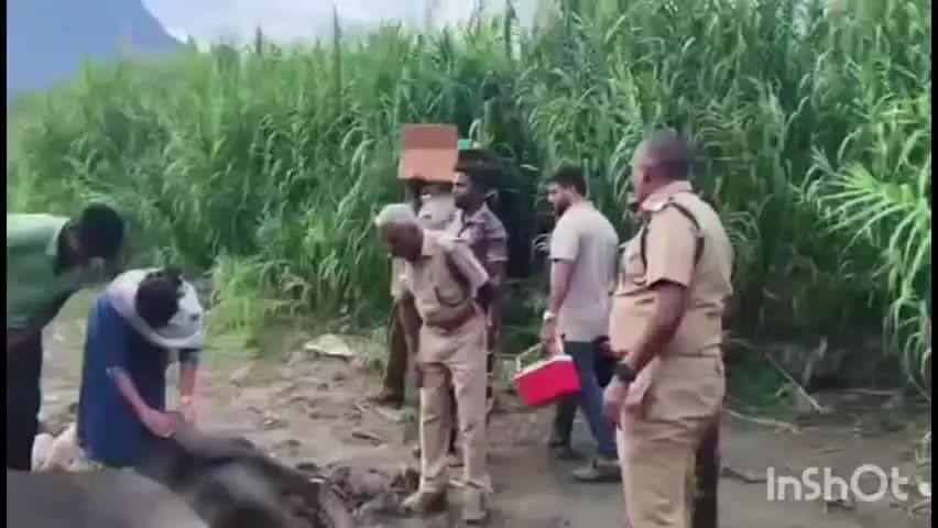 மேட்டுப்பாளையம்: தேக்கம்பட்டி பகுதியில் உடல்நிலை பாதிக்கப்பட்ட காட்டு யானை உயிரிழப்பு