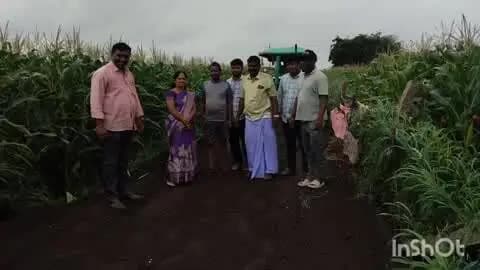 పరిగి: రాఘవపూర్ గ్రామంలో పొలాలకు వెళ్లే రోడ్డు పనులు దగ్గరుండి డస్ట్ వేయిస్తున్న సర్పంచ్ స్రవంతి రామచందర్