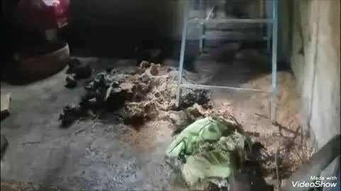 लालगंज: सेमरा कलां गांव में बिजली के तार में शार्ट सर्किट से घर में लगी आग, खाद्यान्न सहित गृहस्थी का सामान जलकर हुआ राख