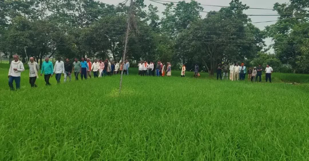 जिले में जैविक खेती को बढ़ावा देने के लिए कृषि विभाग द्वारा लगातार प्रयास किए जा रहे हैं। जिले की कुल 171 पंचायतों में से अब तक 160 पंचायतों में जीवामृत के उपयोग से मॉडल किसान फार्म तैयार किए गए हैं, जिनका आसपास एवं अन्य गांवों के किसानों को भ्रमण कराकर जैविक खेती के लाभों से अवगत कराया जा रहा है।
#chhattisgarhcmo
#dprchhattisgarh
#GPM