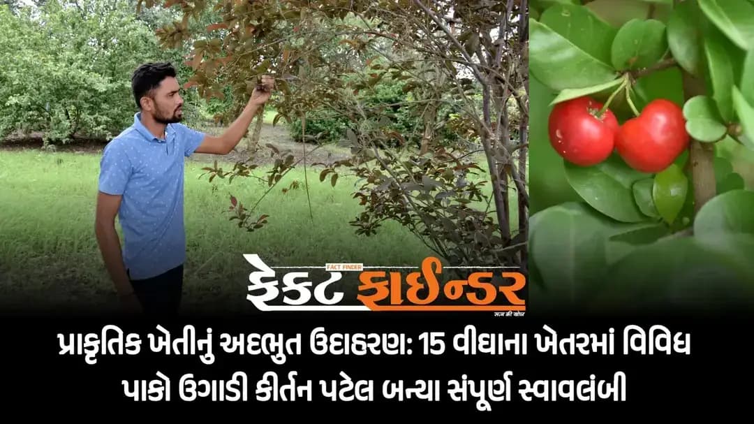પ્રાકૃતિક ખેતીનું અદભુત ઉદાહરણ: 15 વીઘાના ખેતરમાં વિવિધ પાકો ઉગાડી કીર્તન પટેલ બન્યા સંપૂર્ણ સ્વાવલંબી
https://thefactfinder.in/vadodara/waghodia/amazing-example-of-natural-farming-kirtan-patel-became-completely-self-reliant-by-growing-various-crops-in-a-15-bigha-farm/
*Whatsapp* માં સમાચાર મેળવવા માટે નીચેની લિંક પર ક્લિક કરી *Join* કરો.
https://chat.whatsapp.com/CpObvxAehZRCPxZbMmK4Tt?s=cl&p=a&ilr=4
#factfindrenews #organicfarm #waghodia #naturalfarming #Vadodaradistrict