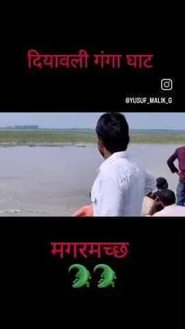 तहसील हसनपुर के गाव दयावली खालसा निकट गंगा मे दिखा मगरमच्छ