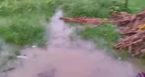 सिकंदरपुर: दियारा क्षेत्र के तटवर्ती इलाकों में बाढ़ का पानी पहुंचा, लोग बंधे पर रहने को मजबूर