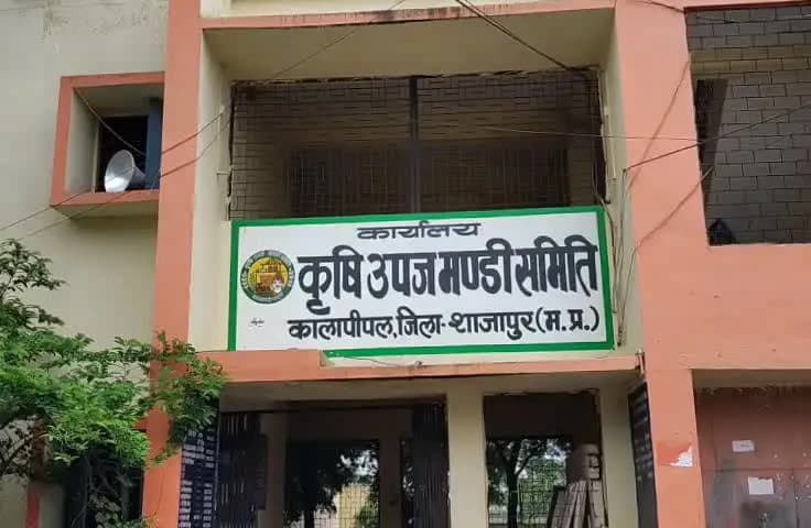 कालापीपल: कृषि मंडी की नीलामी 26 अगस्त को बंद रहेगी
