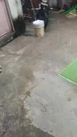 H-472
bidi colony Satabdi puram gwalior 15 dinose pareshan horahe he