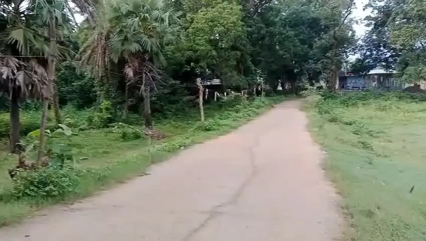 ଅନୁଗୋଳ: ସାହାରାଗୋଡା ଗ୍ରାମ ନିକଟରେ ଗୋଟିକିଆ ଦନ୍ତା ହାତୀ