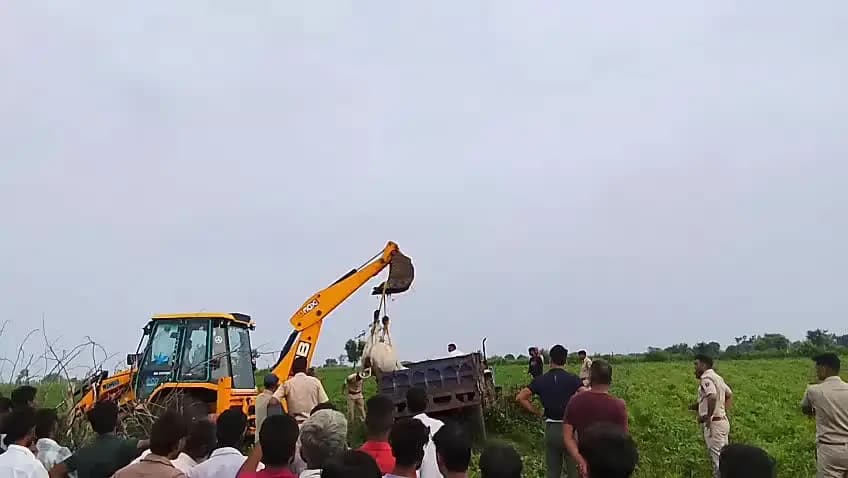 तहसील पिड़ावा के खेजड़िया में एक किसान व्यक्ती ने खेत में करंट छोड़ा 14 गाय कि मर्त्यु होगा ई सरकारी चारागाह भूमि कब्जा