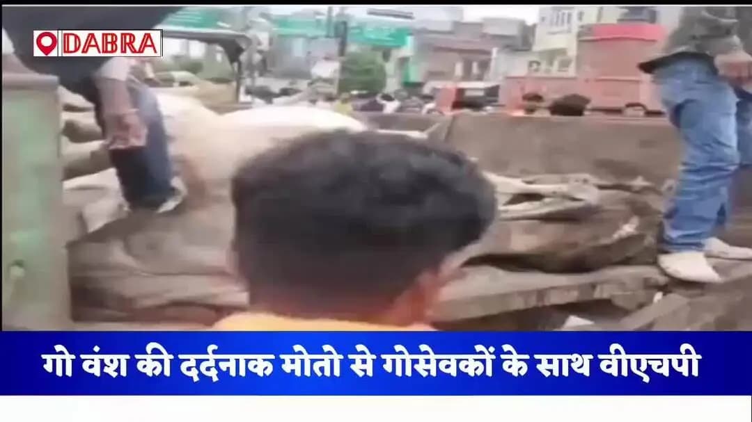गो वंश की मौत से गो सेवक कृद्ध हुए, परशुराम चौराहे पर लगाया जाम