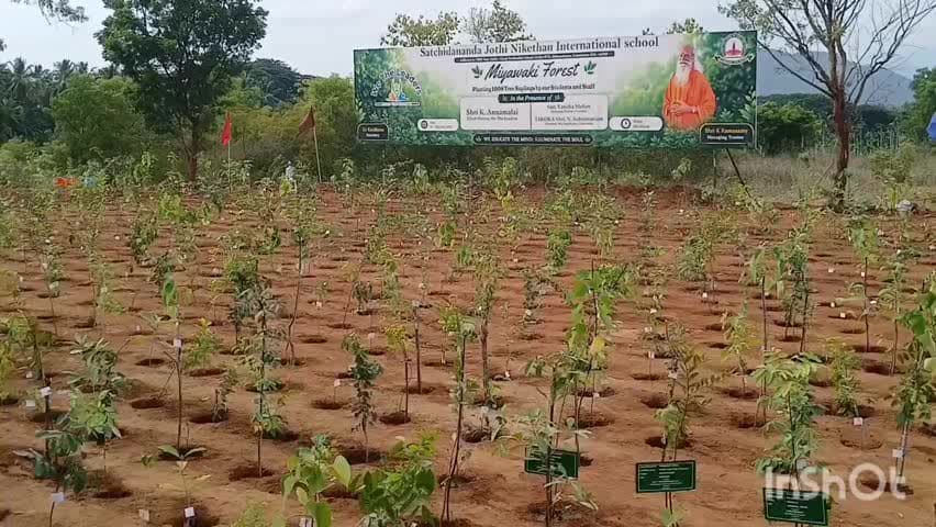 மேட்டுப்பாளையம்: மேட்டுப்பாளையத்தில் வீத லீடர் அமைப்பு சார்பில் 1008 மரக்கன்றுகள் நடும் விழா அண்ணாமலை பங்கேற்பு