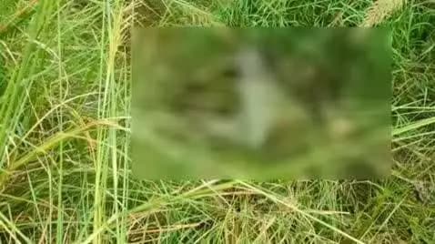 जलालपुर: घोघलिया के चवर में मिला एक सप्ताह पुराना अज्ञात शव, क्षेत्र में फैली सनसनी