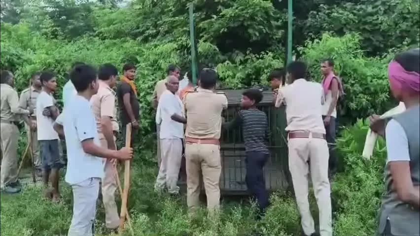 हैदरगढ़: शरीफाबाद गांव में तेंदुए की आहट से ग्रामीणों में दहशत, रात-दिन कर रहे हैं पहरेदारी