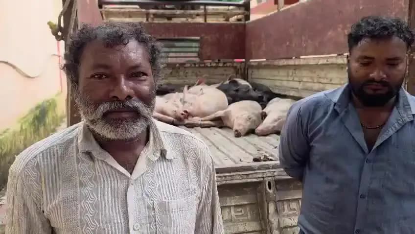 ଝାରସୁଗୁଡା: ବ୍ରଜରାଜନଗରରେ ପିଗ୍ ଫାର୍ମ ଡକାୟତି ଘଟଣାର ପର୍ଦ୍ଦାଫାଶ, ଦୁଇ ଅଭିଯୁକ୍ତ ଗିରଫ