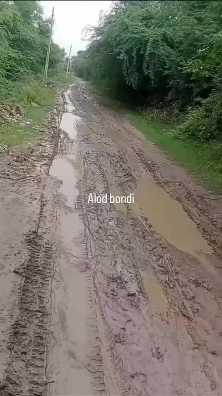 अलोद पुरानी पंचायत से सर्वाना का टपरा
तक 3कम का ख़राब रास्ता अशोक चांदना
के 15साल राज करने के बाद का विकास