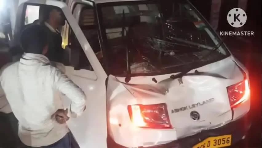 नारनौल: नारनौल शहर में नगर परिषद का लक्ष्य: 39 लाख में बंदर-कुत्ते और 20 लाख में 4 हजार गोवंशों को पकड़ेगी