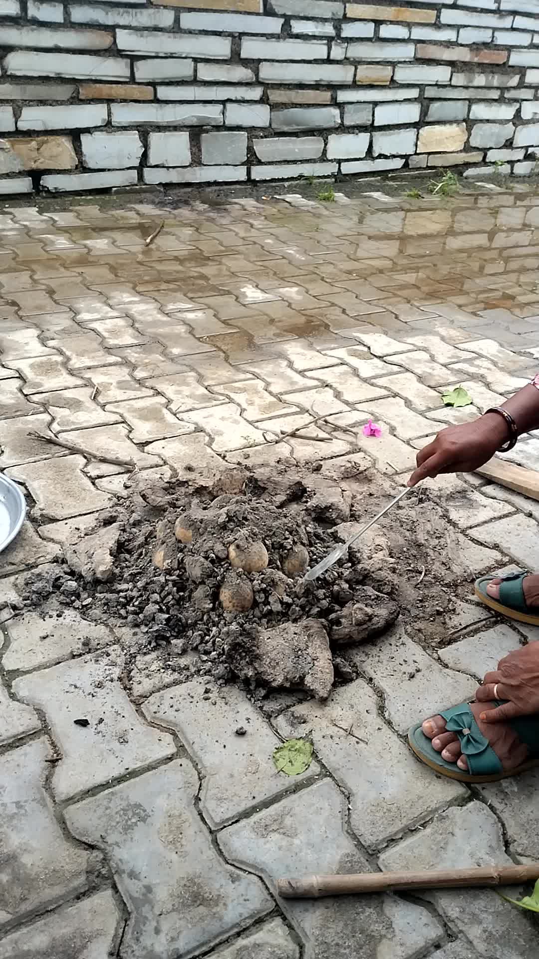 उनहल गाव दाल बाटी बनते हुवह