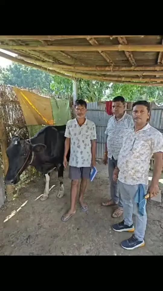 पशु चिकित्सा पदाधिकारी द्वारा जिला के सभी प्रखंडों में पशु एंबुलेंस सेवा चलाया गया। जिसका टोल फ्री नंबर 1962 है। इस टोल फ्री नंबर पर पशुपालकों द्वारा डायल करने पर एम्बुलेंस आ जाते हैं तथा त्वरित उपचार किया गया। जिससे पशुपालकों द्वारा काफी खुशी जाहिर किया गया।
IPRD Bihar