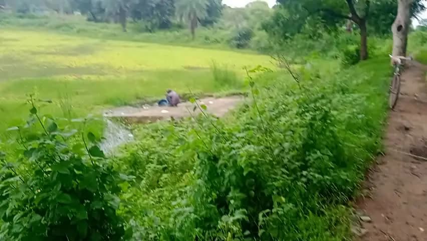 ग्राम सिंगौड़ी (विजयराघवगढ़) के तालाब की बदहाली: सरपंच और प्रशासन से सफाई की मांग!#Singaudi#PondCleanup#vijayraghavgarh