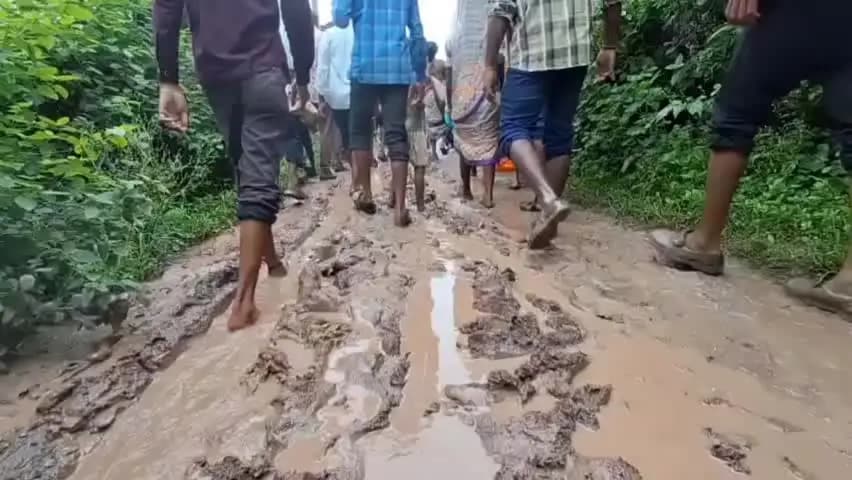 करेली: करेली जनपद के कुम्हरोड़ा ग्राम पंचायत का विलगुवा टोला: 300 की आबादी, 3 KM दलदल, जर्जर पुल और कीचड़ भरा रास्ता