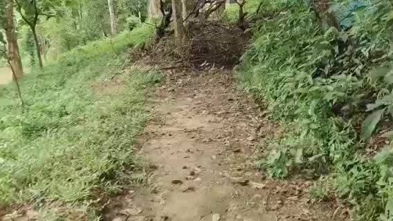 সাব্রুম: রাজনগরে দীর্ঘ ৭৩ বছরের যাতায়াতের রাস্তা দখলের অভিযোগ উঠেছে এক মাতব্বরের বিরুদ্ধে