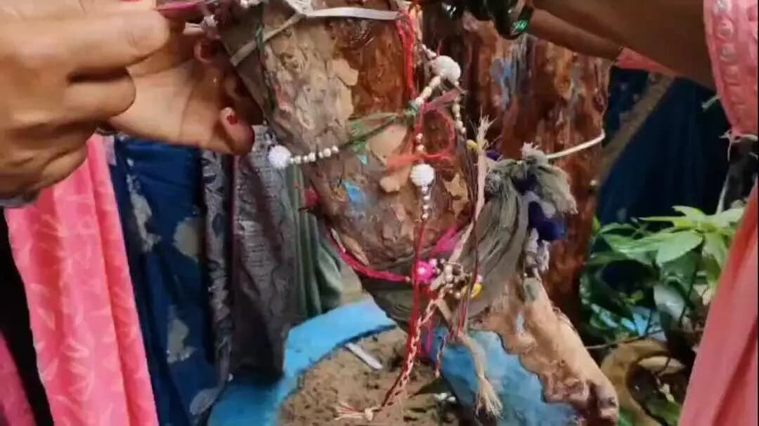बलौदा: बहेराडीह गांव के किसान ने स्कूल में पर्यावरण संरक्षण का संदेश देने के लिए मनाया ‘प्रकृति राखी त्योहार’