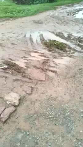 ग्राम पतोह की रोड नयाटोला इतनी खराब है की लाड़ली बहना परेशान है