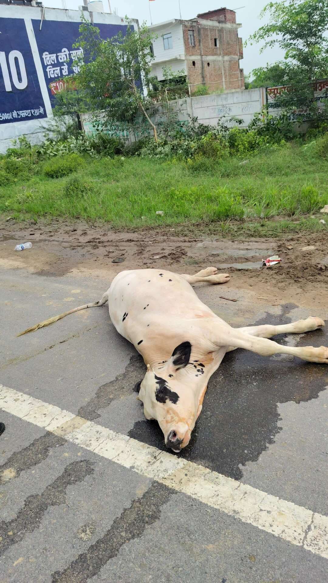इटावा रोड पे पड़ी हुई है कोई सुन बाई नहीं हुई है फौजी धावा के पास है दवरा पुल के आगे