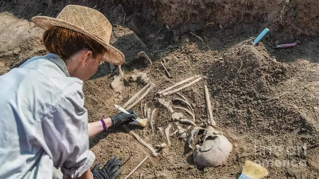 मामूली से घर बिवाद में पति ने पत्नी की हत्या कर घर में ही जलाया शव ।
