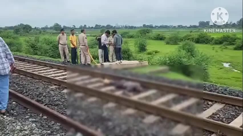 दमोह: पुत्र और माता-पिता ने ट्रेन से कटकर की आत्महत्या, तीनों की मौत