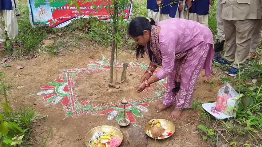 ମୋହନା: ମୋହନା ବନ ବିଭାଗ ପକ୍ଷରୁ ବାଉଁଶ ପ୍ଲାଣ୍ଟେସନ୍ରେ ରକ୍ଷାବନ୍ଧନ ଉତ୍ସବ ପାଳନ