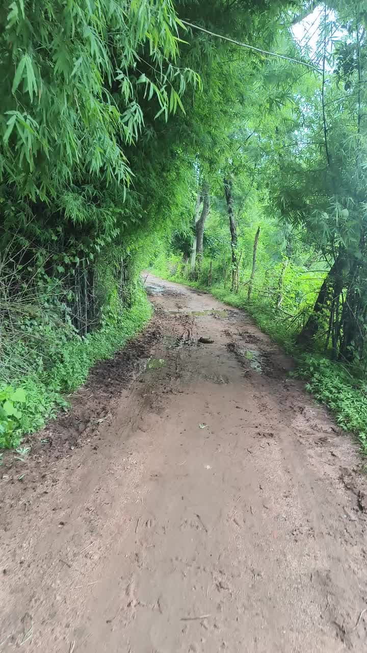 #nanhi hasar tehsil talbehat jila lalitpur