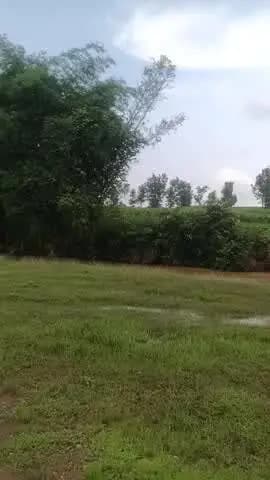 thoda bhi barish mein Nadi a ja
