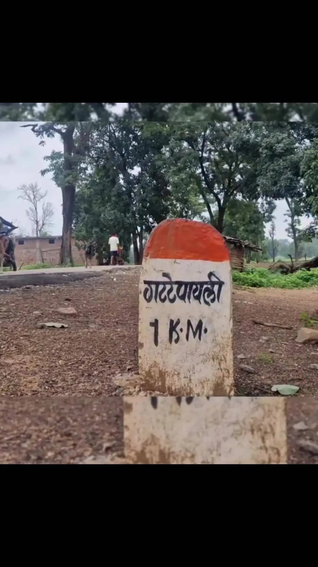 औंधी: मोहला-मानपुर के पास सड़क पर दिखा बाघ, ग्रामीणों में बढ़ी चिंता