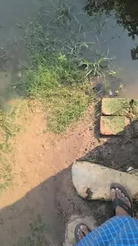 ye Pani mere ghar ke Charo aor pani bhara hai eske liye ward koi action nahi leta hai