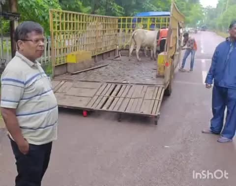 राजनांदगांव: शहर के विभिन्न क्षेत्रों में नगर निगम आयुक्त ने व्यवस्थाओं का लिया जायजा