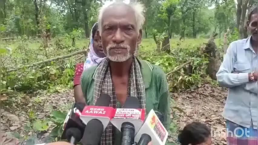 लखनपुर: फेलपुर बीट में अतिक्रमण को लेकर 5 एकड़ से अधिक जंगलों में पेड़ों की अंधाधुंध कटाई, विभाग मौन: ग्रामीणों की जानकारी