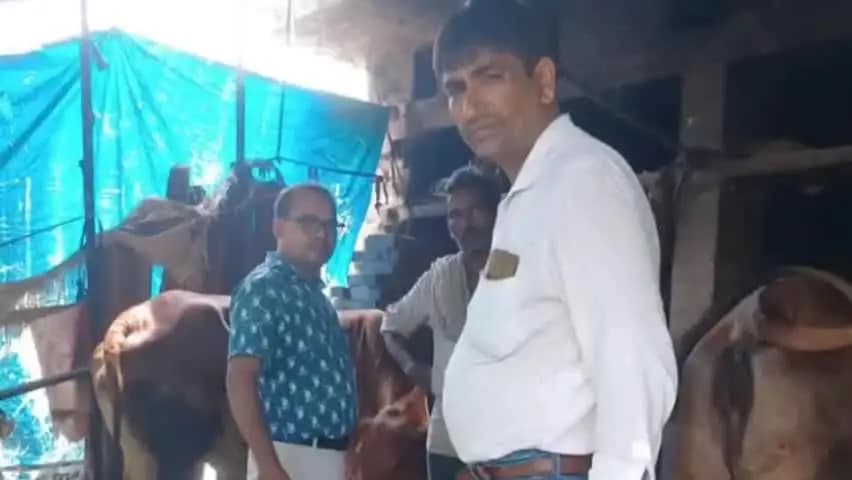 रुधौली: खुरपका-मुंहपका रोग से बचाव के लिए गांव-गांव चल रहा टीकाकरण अभियान