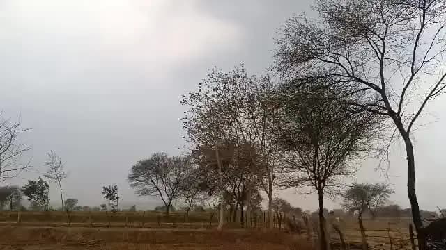 मुंगेली: कोरिया जिले में शाम से मौसम बदला, बारिश की संभावना बढ़ी