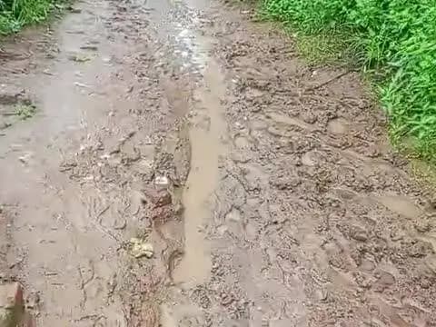 ग्राम मवई जिला सीधी