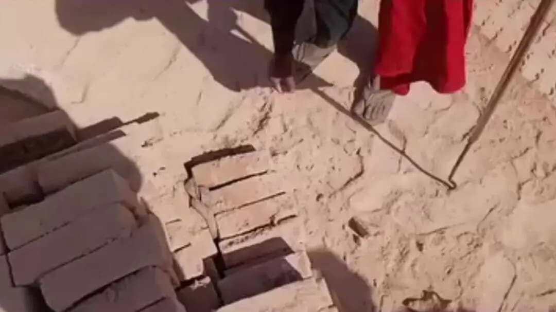 कौशाम्बी के सोखदा गांव के Sundar Sapera ने भट्ठे पर जा कर सांप की जान बचाई
