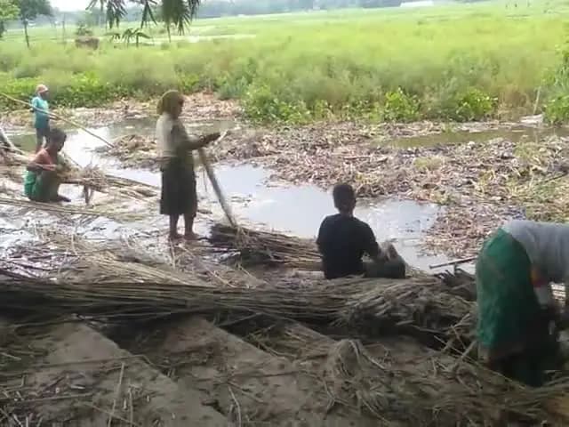 लहरिया टोला bastaul क्षत घाट पर गंदगी फैलाया जा रहा है