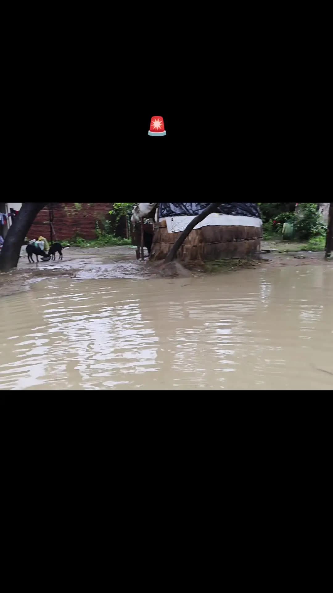 gram panchayat darswan me jal bharaw huwa hai ye laparwahi kiski
