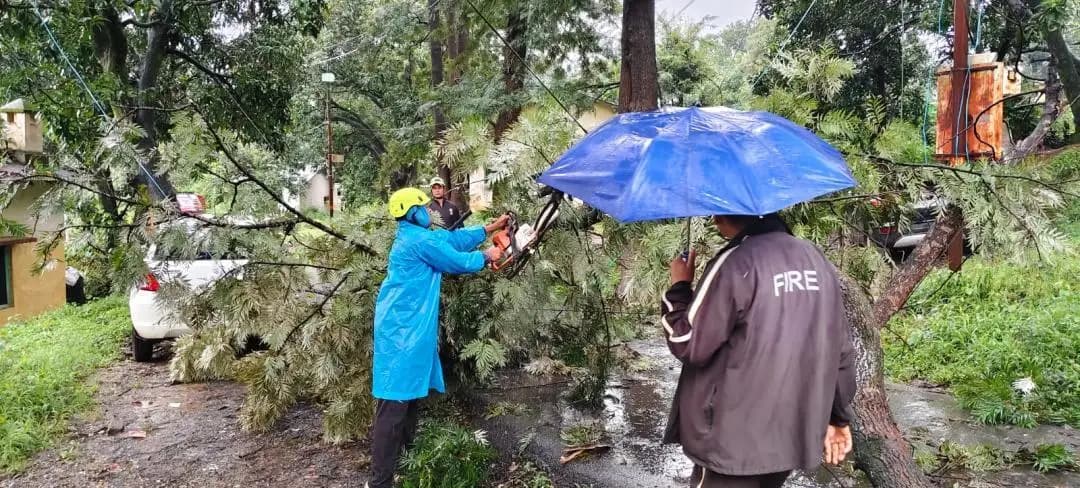 बागेश्वर: बागेश्वर में सड़क पर गिरा पेड़, फायर सर्विस ने किया यातायात सुचारू