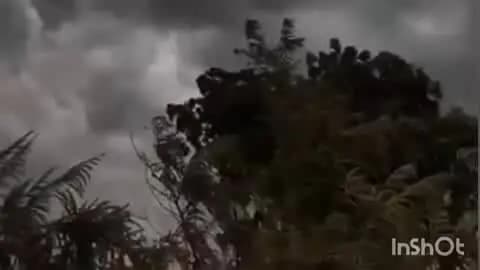 जैतहरी: जैतहरी में 11 मिमी, वेंकटनगर में 9.7 मिमी बारिश