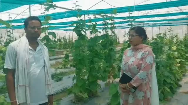 🌱 प्रगतिशील किसान की सफलता की कहानी: सरकारी योजना और जिला प्रशासन के सहयोग से आधुनिक खेती बनी समृद्धि का माध्यम
जिला पदाधिकारी, जहानाबाद श्रीमती छिरिङ वाई भूटिया के निर्देशानुसार जिला प्रशासन, जहानाबाद द्वारा किसानों को लगातार आर्थिक टास्क फोर्स बैठक के माध्यम से सरकारी योजनाओं से जोड़ते हुए आधुनिक, अधिक मुनाफा एवं वैज्ञानिक खेती को बढ़ावा दिया जा रहा है।
🎯इसी कड़ी में प्रस्तुत घोसी प्रखंड के प्रगतिशील किसान श्री अभिषेक कुमार को उद्यान विभाग की योजना के तहत अनुदानित दर पर जी-9 केला, रेड लेडी पपीता एवं उन्नत किस्म के आम के पौधे उपलब्ध कराए गए। वैज्ञानिक खेती से उन्हें पहले ही वर्ष लगभग ₹2 लाख का शुद्ध लाभ प्राप्त हुआ। इसके बाद विभागीय योजना के तहत लगभग 2,000 वर्गमीटर में अनुदानित पॉली हाउस स्थापित कर बीजरहित खीरे की व्यावसायिक खेती शुरू की गई, जिससे उन्हें लगभग ₹2.50–3 लाख वार्षिक शुद्ध लाभ प्राप्त हो रहा है।
✨ जिला प्रशासन का प्रयास ह�