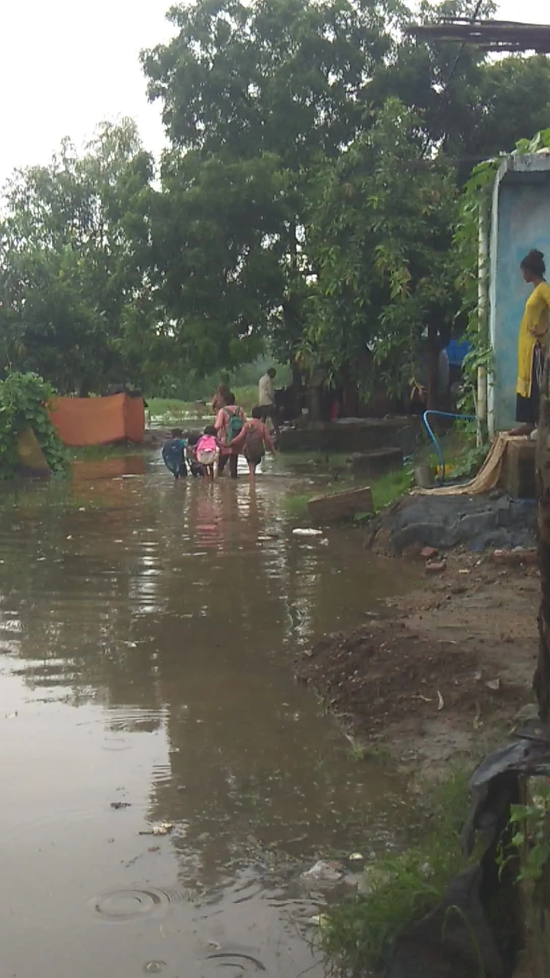 selawan ganv ki rod nahi bani hai Ved pradhan ji ke karykal me 5 sal me sadak nahi banayi gayi hai