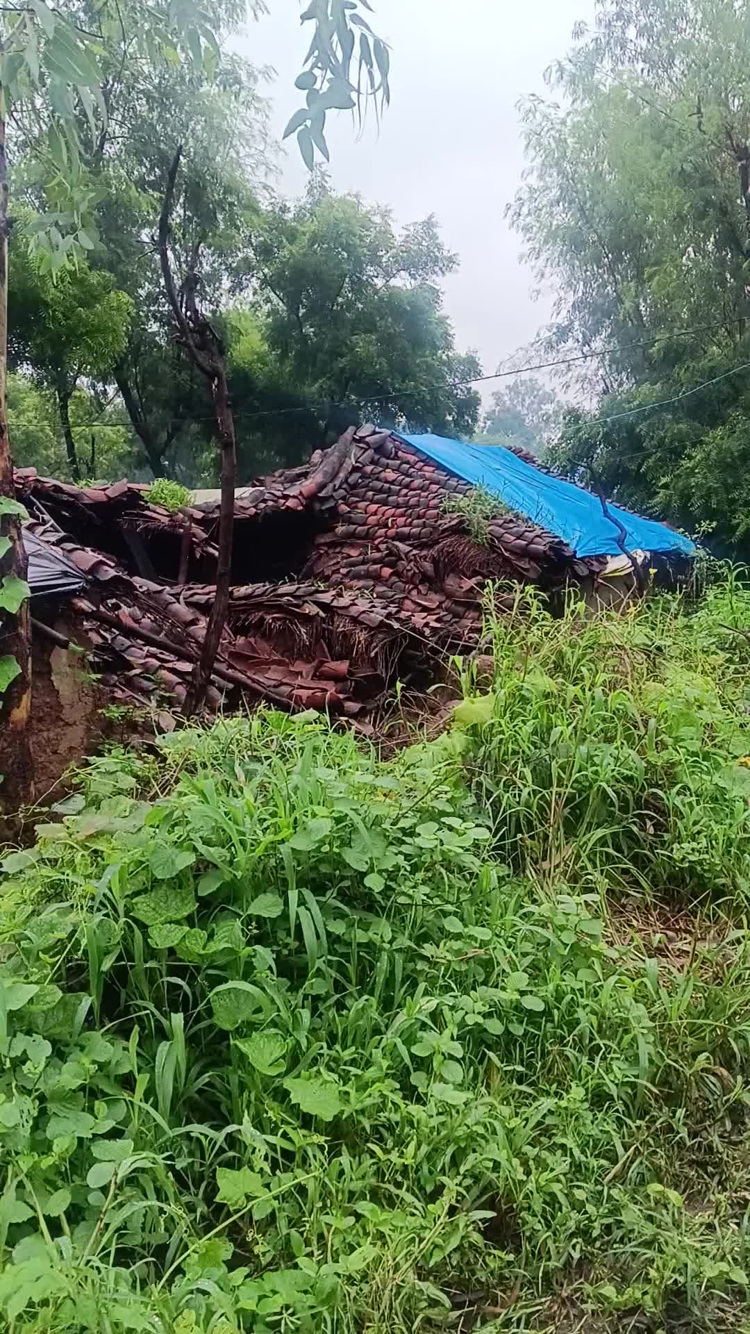 ग्राम बरा पैपखार 396 पोस्ट मनकहरी जिला रीवा मध्य प्रदेश तहसील हजूर ब्लॉक रायपुर कर्चुलियान निवासी आवास योजना नहीं मिला ह